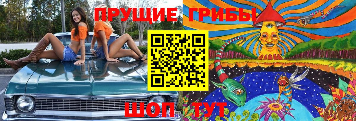 Галлюциногенные грибы Psilocybe  Вход с VPN  Кингисепп 